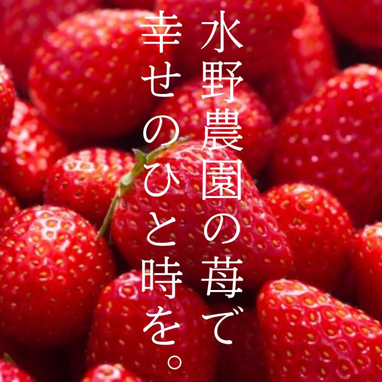 【ふるさと納税】《先行予約》「埼玉農業大賞特別賞」を受賞！ 完熟朝摘み あまりん　250g×2　(8粒～15粒)　【苺】 イチゴ おおきい スイーツ あかい 果物 いちご フルーツ 期間限定 人気いちご 甘い いちご 旬 直送 おすすめいちご ストロベリー 苺ジャム いちご サムネイル2