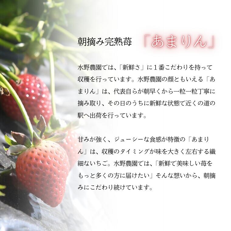 【ふるさと納税】《先行予約》【訳あり】いちご『あまりん』サイズミックス 1kg以上 【潰れが気にならない方限定】 【苺】 イチゴ スイーツ あかい 果物 いちご フルーツ 期間限定 人気いちご 甘い いちご 旬 直送 おすすめいちご ストロベリー 苺ジャム いちご サムネイル3