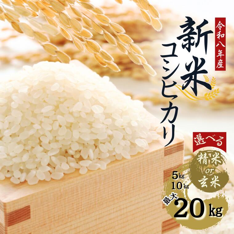 先行受付中！《令和8年産》水野農園の加須市北川辺産 コシヒカリ 5kg 10kg 20kg（精米または玄米）数量限定お米 米 令和8年 こしひかり