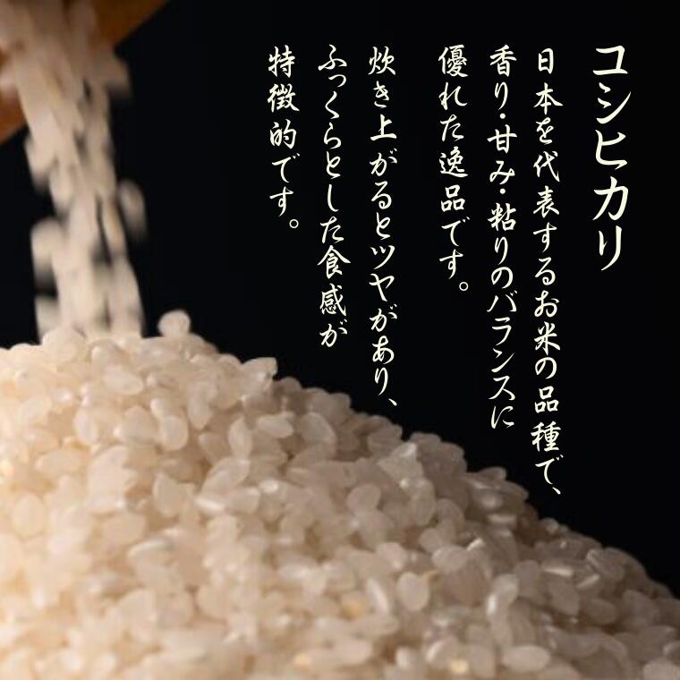 【ふるさと納税】先行受付中！《令和8年産》水野農園の加須市北川辺産 コシヒカリ 5kg 10kg 20kg（精米または玄米）数量限定お米 米 令和8年 こしひかり - 画像3