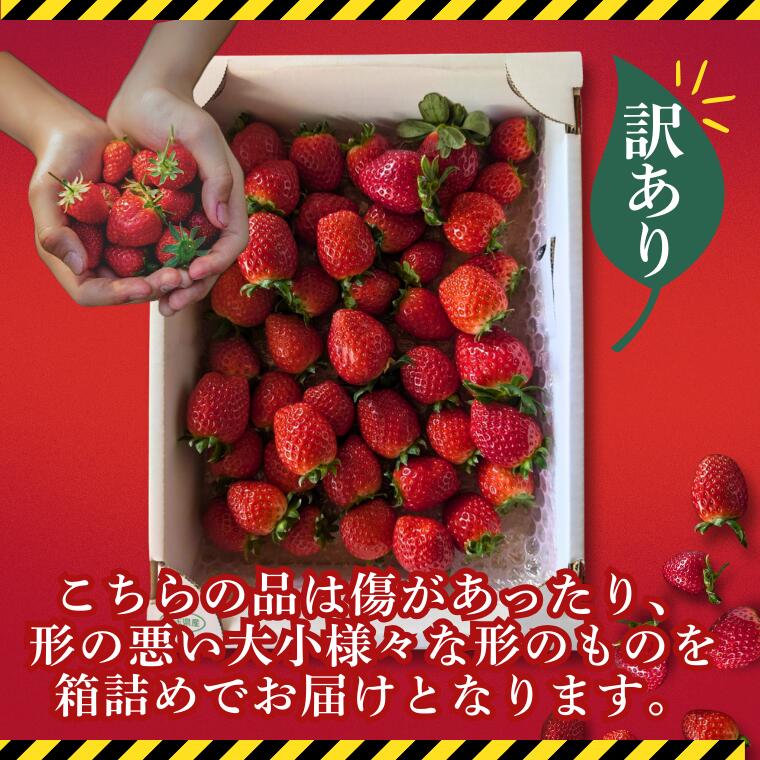 【ふるさと納税】《先行予約》【訳あり】いちご『あまりん』サイズミックス 1kg以上 【潰れが気にならない方限定】 【苺】 イチゴ スイーツ あかい 果物 いちご フルーツ 期間限定 人気いちご 甘い いちご 旬 直送 おすすめいちご ストロベリー 苺ジャム いちご サムネイル2