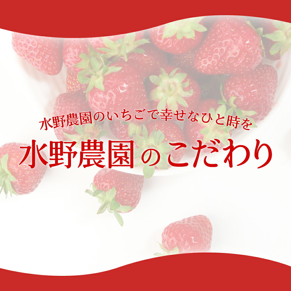 【ふるさと納税】《先行予約》「埼玉農業大賞特別賞」を受賞！ 完熟朝摘み あまりん　250g×2　(8粒～15粒)　【苺】 イチゴ おおきい スイーツ あかい 果物 いちご フルーツ 期間限定 人気いちご 甘い いちご 旬 直送 おすすめいちご ストロベリー 苺ジャム いちご - 画像3