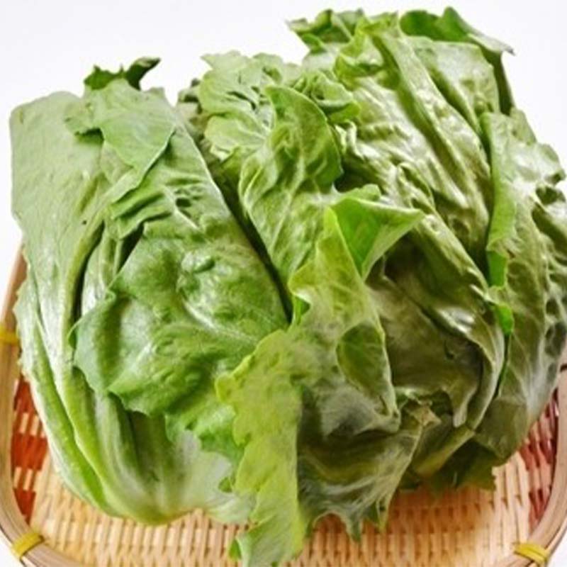 【ふるさと納税】季節の野菜詰合せ 本庄産 旬 野菜 セット 詰合せ ご当地 生鮮品 食品 関東 F5K-108 - 画像2