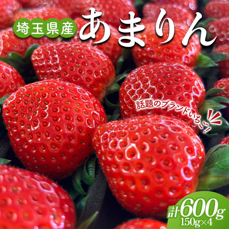 【ふるさと納税】 ≪先行予約≫埼玉県産 いちご あまりん 150g×4パック 2026年1月上旬から順次発送 苺 いちご ストロベリー 冬 果実 果物 くだもの フルーツ 話題 ブランド 甘い あまい デザート 贈答 贈り物 プレゼント ギフト 家庭 自宅 埼玉県 本庄市 F5K-538