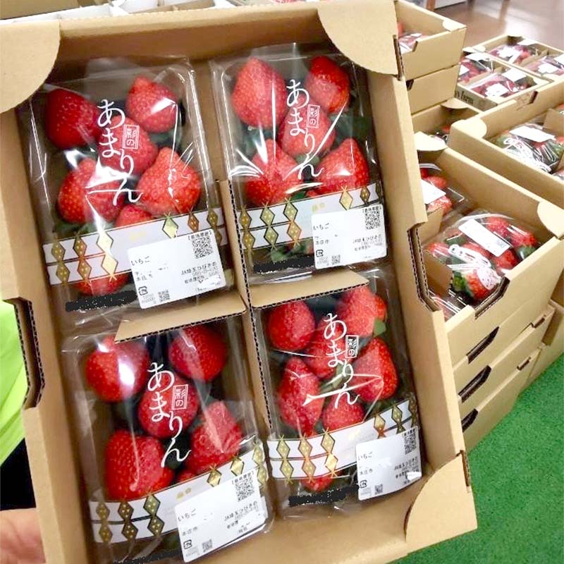 【ふるさと納税】 ≪先行予約≫埼玉県産 いちご あまりん 150g×4パック 2026年1月上旬から順次発送 苺 いちご ストロベリー 冬 果実 果物 くだもの フルーツ 話題 ブランド 甘い あまい デザート 贈答 贈り物 プレゼント ギフト 家庭 自宅 埼玉県 本庄市 F5K-538 サムネイル3