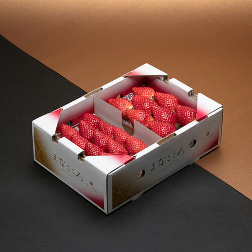 ＜先行予約＞とちおとめ まなこころ 葵 1箱(2パック×260g) or 2箱(4パック×260g) | とちおとめ イチゴ 苺 いちご あおい 新鮮 中粒 箱 2P 4P真心農園 果物 フルーツ 甘い 美味しい ジューシー ビタミン おいしい おすすめ 贈り物 ギフト 埼玉県 東松山市