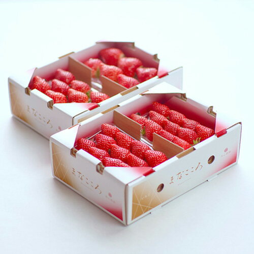 【ふるさと納税】＜先行予約＞あまりん まなこころ 葵 1箱(2パック×260g) or 2箱(4パック×260g) | あまりん アマリン イチゴ 苺 いちご あおい 新鮮 中粒 箱 2P 4P 真心農園 果物 フルーツ 甘い 美味しい ジューシー ビタミン おいしい おすすめ 贈り物 埼玉県 東松山市 サムネイル2