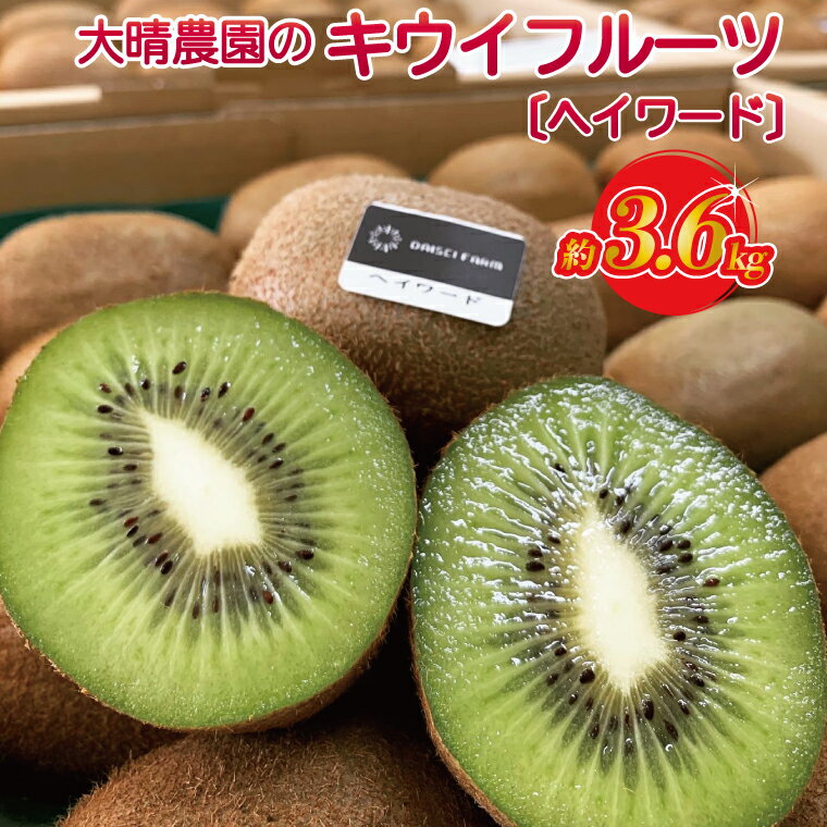 【先行予約】【ヘイワード約3.6kg】贈答用大箱大晴農園のキウイフルーツ（BY004-2）