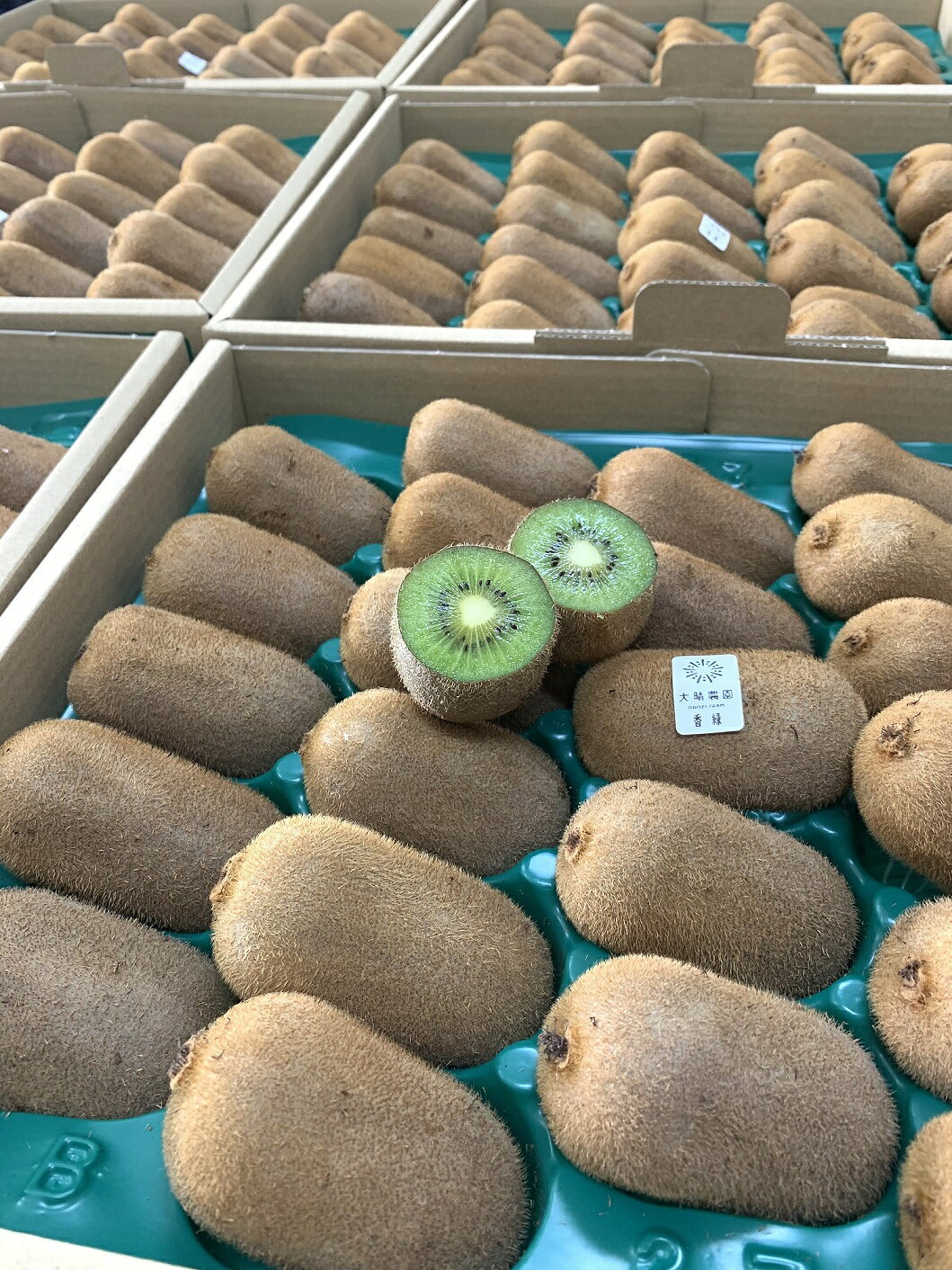 【ふるさと納税】【先行予約】香緑21～27玉入り【春日部市】大晴農園のキウイフルーツ（BY002-1） サムネイル2