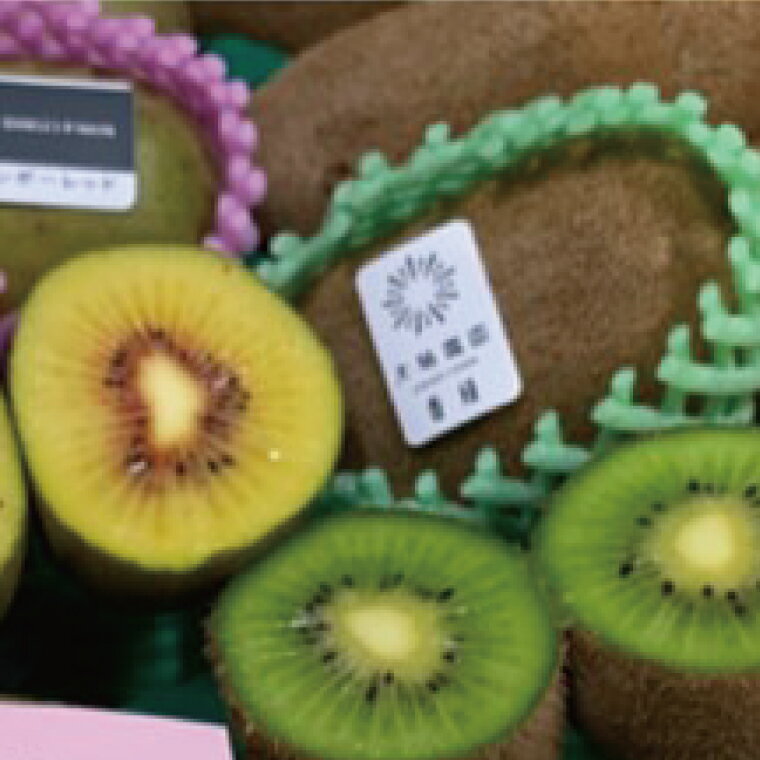 【ふるさと納税】春日部市「産直の里大晴農園 内牧」キウイフルーツ2種詰め合わせ　27～33玉入り【本州限定】（BY003-3） サムネイル2