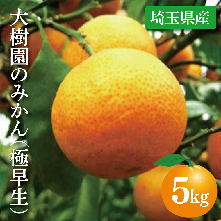 大樹園のみかん（極早生）5kg【果物 有機栽培 美味しい 春日部市 埼玉県】（CH002-1）