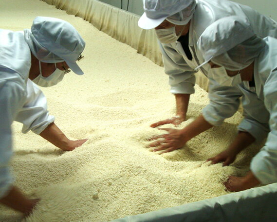 【ふるさと納税】醗酵調味料 味の母 500ml 12本 | みりん風味 調味料 料理酒 麹 こうじ 米こうじ もろみ 味の一醸造株式会社 埼玉県 狭山市 サムネイル2