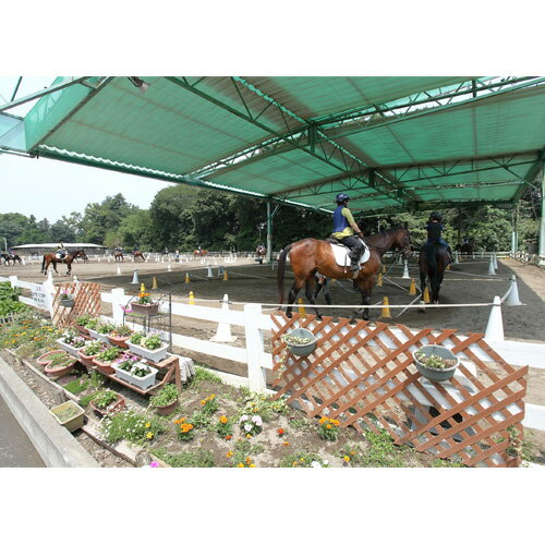 【ふるさと納税】乗馬スクール ペア 1回コース | 乗馬 馬 体験 初心者 ふれあい 動物 教室 有限会社狭山乗馬センター 埼玉県 狭山市 サムネイル2