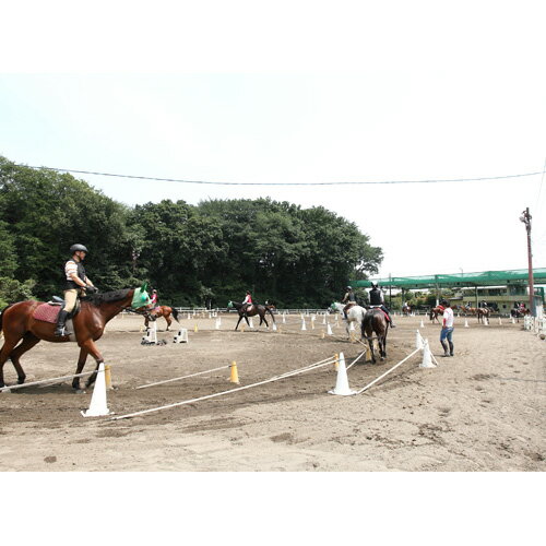 【ふるさと納税】乗馬スクール ペア 1回コース | 乗馬 馬 体験 初心者 ふれあい 動物 教室 有限会社狭山乗馬センター 埼玉県 狭山市 サムネイル3