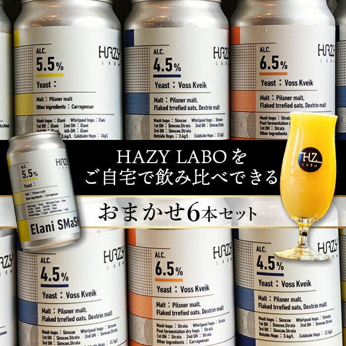 【ふるさと納税】HAZY LABOの350ml缶おまかせ6本セット | お酒 ビール 発泡酒 HAZY LABO 埼玉県 狭山市 サムネイル2