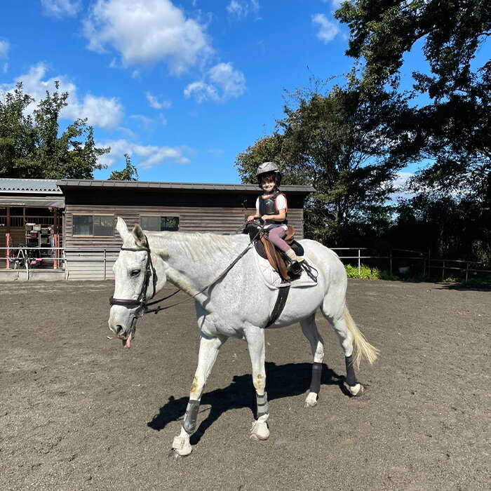 【ふるさと納税】乗馬 体験 レッスン チケット 25分 | 馬 うま 乗馬 体験 レッスン 初心者 自然 シエナ乗馬クラブ 埼玉県 狭山市 サムネイル2