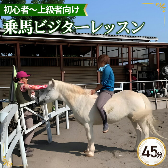 乗馬 ビジター レッスン チケット 45分3回まで | 馬 うま 乗馬 体験 レッスン 自然 シエナ乗馬クラブ 埼玉県 狭山市