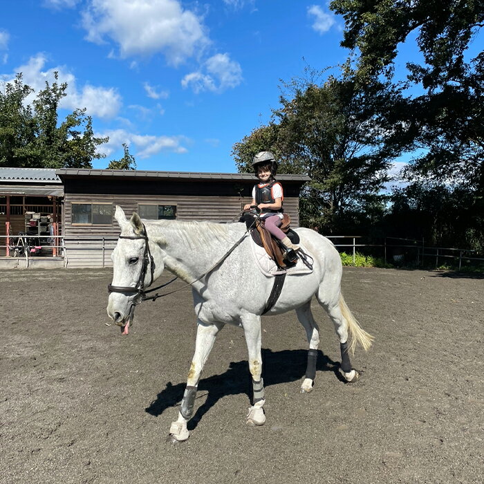 【ふるさと納税】乗馬 ビジター レッスン チケット 45分3回まで | 馬 うま 乗馬 体験 レッスン 自然 シエナ乗馬クラブ 埼玉県 狭山市 サムネイル2
