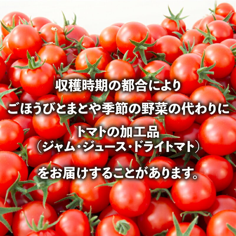 【ふるさと納税】 季節 野菜 詰め合わせ 選べる容量 500g 1kg 定期便 3回 ~ 12回 果物 産地直送 フルーツトマト ほうれんそう 白菜 キャベツ ブロッコリー そら豆 ヤングコーン とうもろこし 枝豆 ピーマン パプリカ ナス オクラ キュウリ 風の子ファーム 埼玉県 羽生市 - 画像2