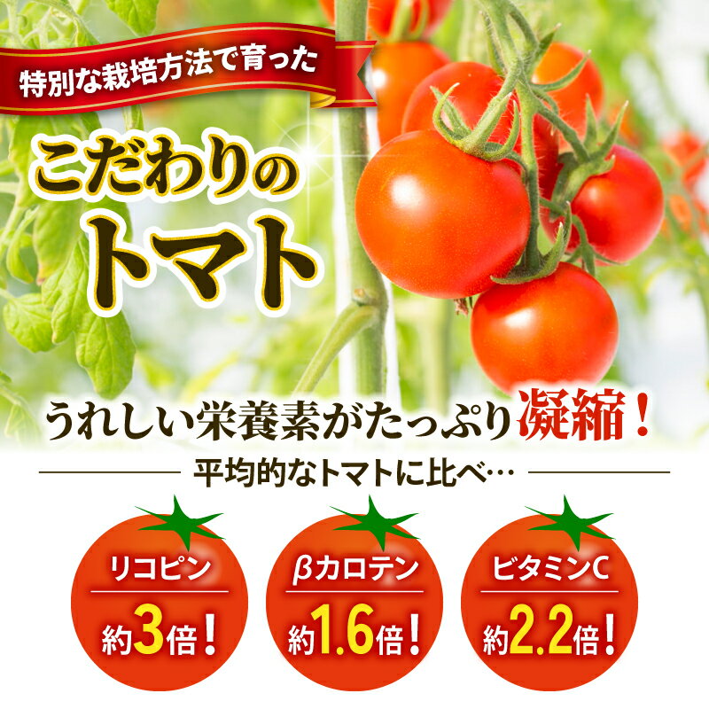 【ふるさと納税】 “予約受付” 訳あり トマト 1kg とまと 甘い 高糖度 フルーツ ミニトマト 訳アリ 野菜 果物 濃厚 産地直送 とれたて 徳用 規格外 不揃い 健康 美容 アンチエイジング 生活習慣病予防 フルーツトマト ごほうびとまと 株式会社風の子ファーム 埼玉県 羽生市 サムネイル3