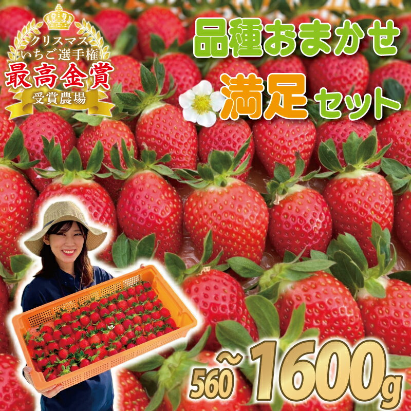 【ふるさと納税】 【事前受付】いちご 食べ比べ 約 560g 800g 1600g 選べる容量 ( かおり野 よつぼし 紅ほっぺ 恋みのり おいCベリー ) 完熟 5品種 から 2種類 お届け 苺 イチゴ ストロベリー 産地直送 果物 くだもの フルーツ デザート 冷蔵 げんき農場 埼玉県 羽生市