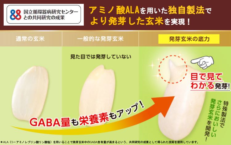 【ふるさと納税】 発芽 玄米 1kg 国産 機能性表示食品 ドライ米 生活習慣病 ケア 高血圧 中性脂肪 コレステロール 健康 肥満予防 発芽玄米の底力 ドライ米タイプ 彩のかがやき 埼玉県 ブランド米 1kg×1袋 埼玉県 羽生市 - 画像3