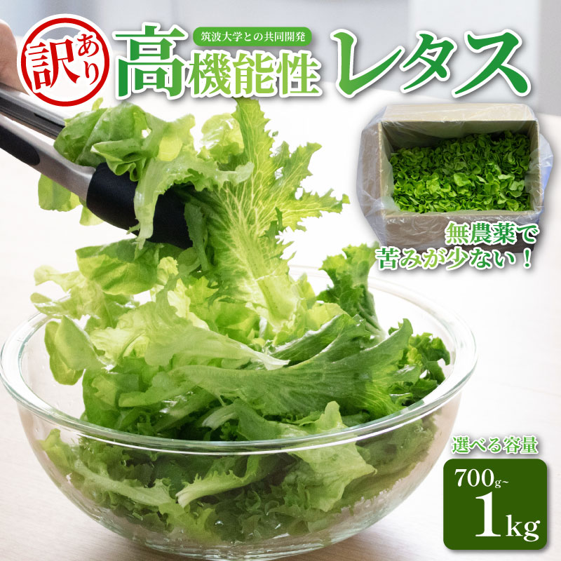 訳あり 高機能性 レタス 無農薬 選べる容量 700g~1kg サラダ 選べる3品種 フリルレタス グリーンリーフ グリーンオーク 産地直送 高機能性野菜 水耕栽培 新鮮 健康 弁当 フードロス ダイエット ベジタブル ヴィーガン ベジタリアン アイクス 埼玉県 羽生市
