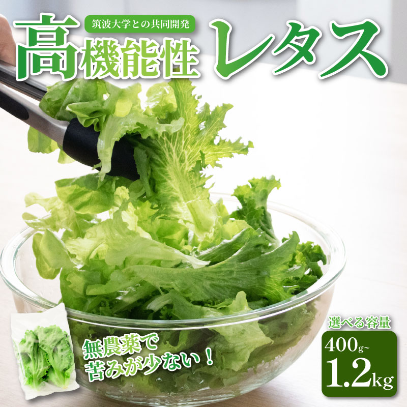 高機能性 レタス 無農薬 選べる容量 400g~1.2kg サラダ 生野菜 選べる3品種 フリルレタス グリーンリーフ グリーンオーク 産地直送 高機能性野菜 水耕栽培 新鮮 弁当 フードロス ダイエット ベジタブル ヴィーガン ベジタリアン アイクス 埼玉県 羽生市