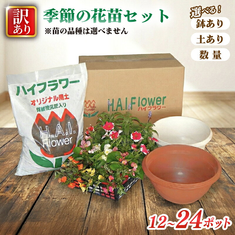 訳あり 品種お任せ 季節のお花 選べる セット 24ポット 12ポット 寄せ植え 花 ガーデニング 園芸 花苗 お花 寄植え ハイフラワー 埼玉県 羽生市