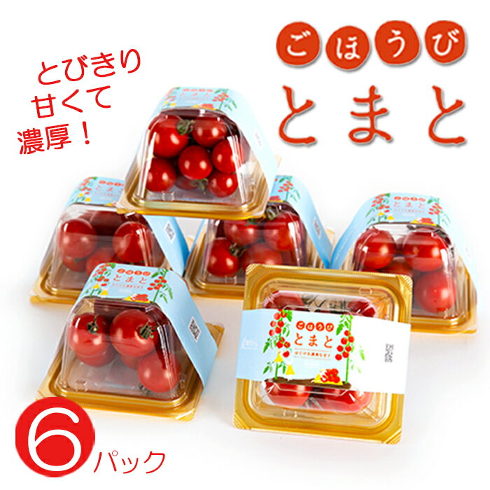 トマト 高糖度 甘い 6パック 小分け フルーツトマト ミニトマト 野菜 果物 産地直送 とれたて 濃厚 とまと ごほうびとまと 株式会社風の子ファーム 埼玉県 羽生市
