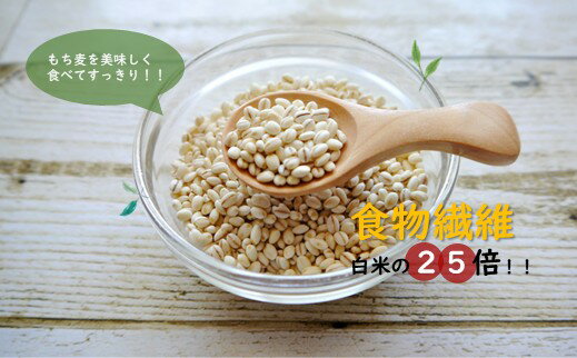 【ふるさと納税】国産もち麦6kg《1kg×6個セット》雑穀 お米に混ぜて炊くだけ！便利なチャック付 小分けパック ダイエット 食物繊維 送料無料 No.029 - 画像2