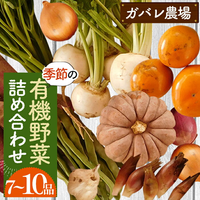 ガバレ農場の季節の有機野菜詰め合わせセット［No.058］