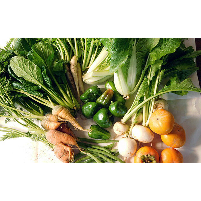 【ふるさと納税】【有機野菜の定期便3ヶ月】ガバレ農場の季節の有機野菜詰め合わせセット［No.527］ - 画像2