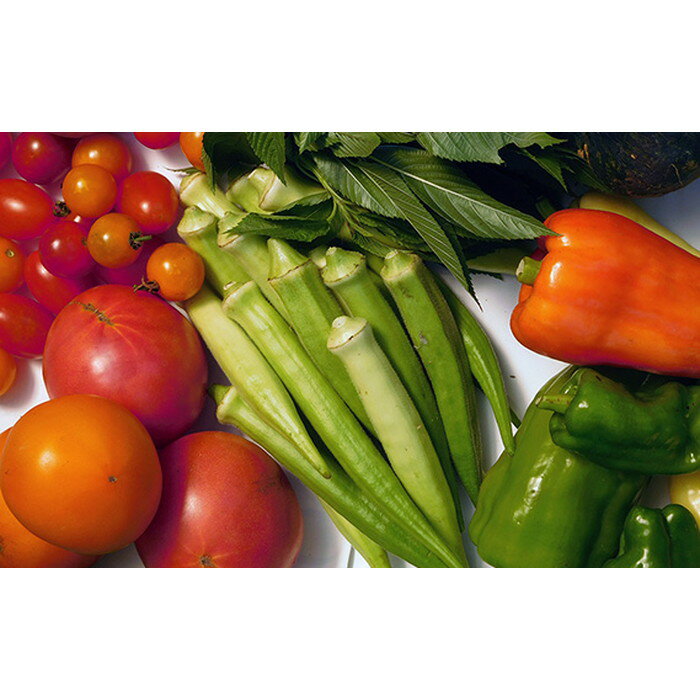 【ふるさと納税】【有機野菜の定期便3ヶ月】ガバレ農場の季節の有機野菜詰め合わせセット［No.527］ - 画像3