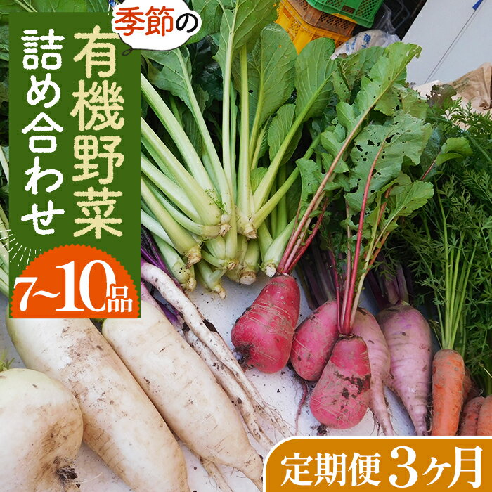 【有機野菜の定期便3ヶ月】ガバレ農場の季節の有機野菜詰め合わせセット［No.527］