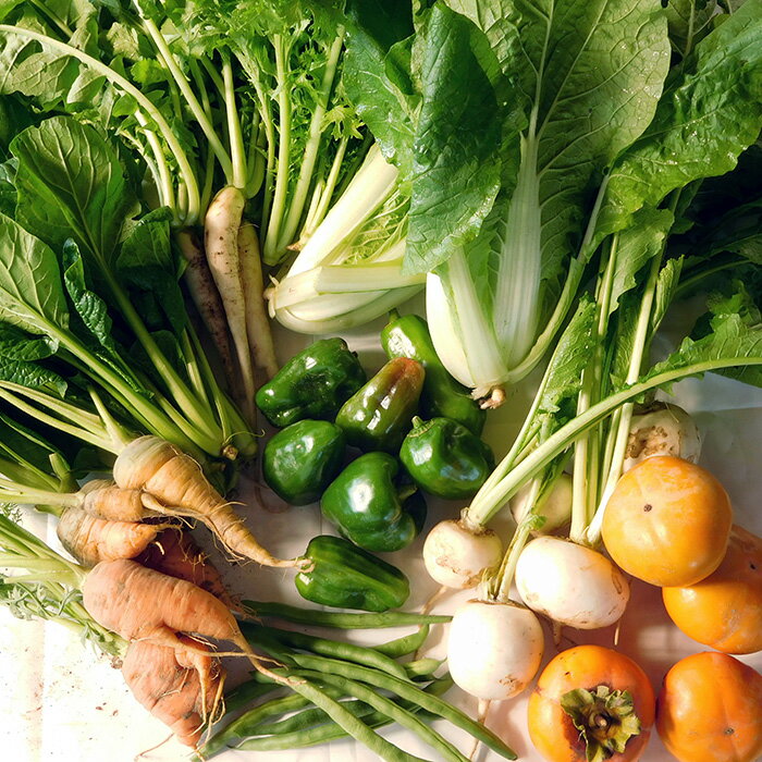 【ふるさと納税】ガバレ農場の季節の有機野菜詰め合わせセット［No.058］ - 画像2