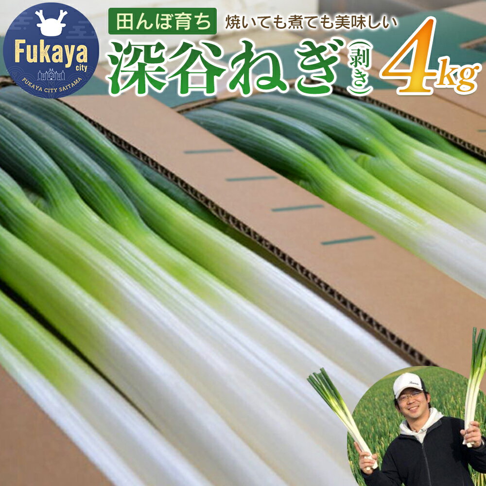 煮てよし、焼いてよし！甘さがギュッと！深谷ねぎ　4kg　【11218-0240】　# 深谷ねぎ ねぎ 深谷 深谷市 ケスタファーム