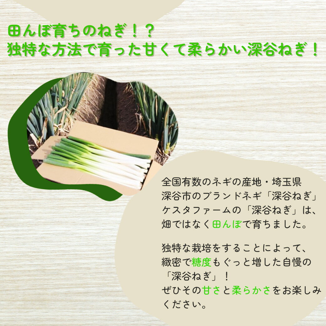 【ふるさと納税】煮てよし、焼いてよし！甘さがギュッと！深谷ねぎ　4kg　【11218-0240】　# 深谷ねぎ ねぎ 深谷 深谷市 ケスタファーム - 画像2