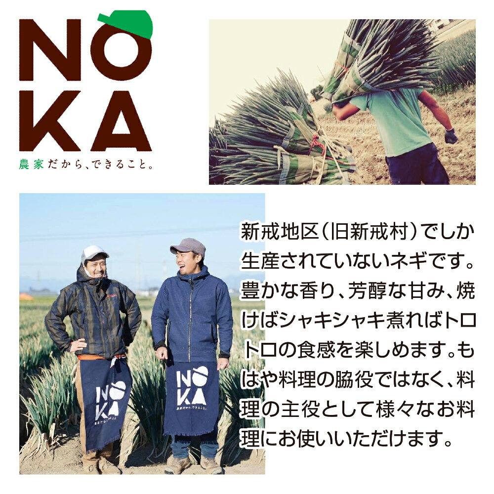 【ふるさと納税】＜先行予約＞【深谷ねぎの原点】深谷新戒ねぎ　5kg　【11218-0238】　# 深谷ねぎ ねぎ 深谷 深谷市 新戒 5000g ムキ NOKA サムネイル3