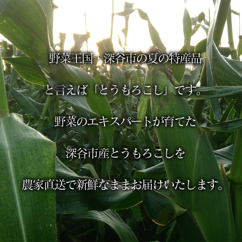 【ふるさと納税】農家直送！とうもろこし　ドルチェドリーム　10本箱詰め　【11218-0925】 スイートコーン トウモロコシ 朝採れ 甘い 高糖度 夏野菜 野菜 ギフト お中元 コーン 六次産業協同組合 農業王国ふかや 深谷 深谷市 - 画像2