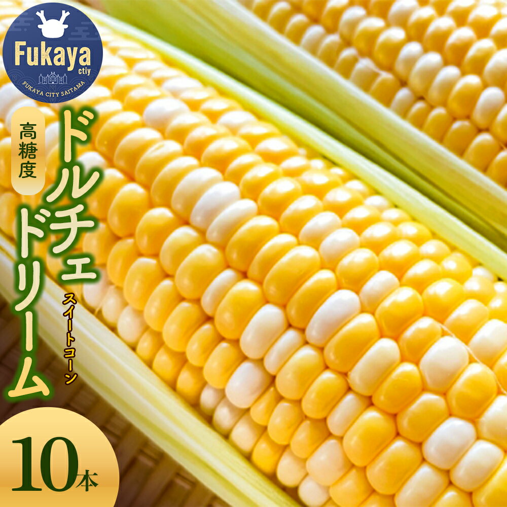 農家直送！とうもろこし　ドルチェドリーム　10本箱詰め　【11218-0925】 スイートコーン トウモロコシ 朝採れ 甘い 高糖度 夏野菜 野菜 ギフト お中元 コーン 六次産業協同組合 農業王国ふかや 深谷 深谷市