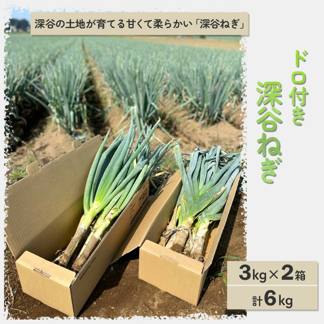 【ふるさと納税】深谷ねぎ（ドロ付き）3kg×2箱／計6kg　【11218-0210】　# 深谷ねぎ ねぎ 深谷 深谷市 土付き ドロ - 画像2