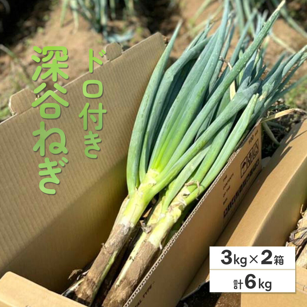 深谷ねぎ（ドロ付き）3kg×2箱／計6kg　【11218-0210】　# 深谷ねぎ ねぎ 深谷 深谷市 土付き ドロ