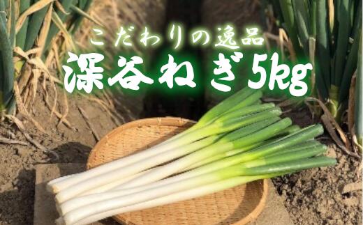 土付き深谷ネギ　5kg　【11218-0397】　# 深谷ねぎ ねぎ 深谷 深谷市 土付き ドロ