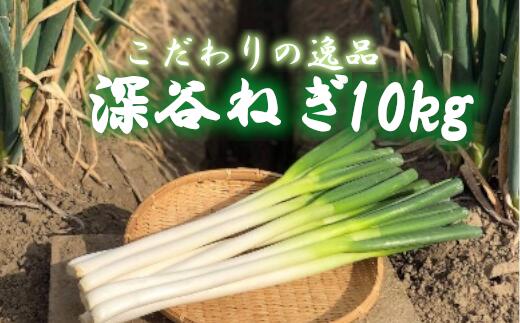 土付き深谷ネギ　10kg　【11218-0538】　# 深谷ねぎ ねぎ 深谷 深谷市 土付き ドロ
