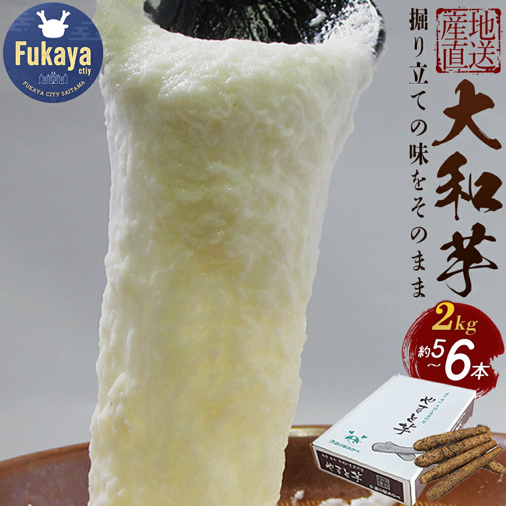 土付き大和芋AA品2kg（5～6本）　【11218-0137】