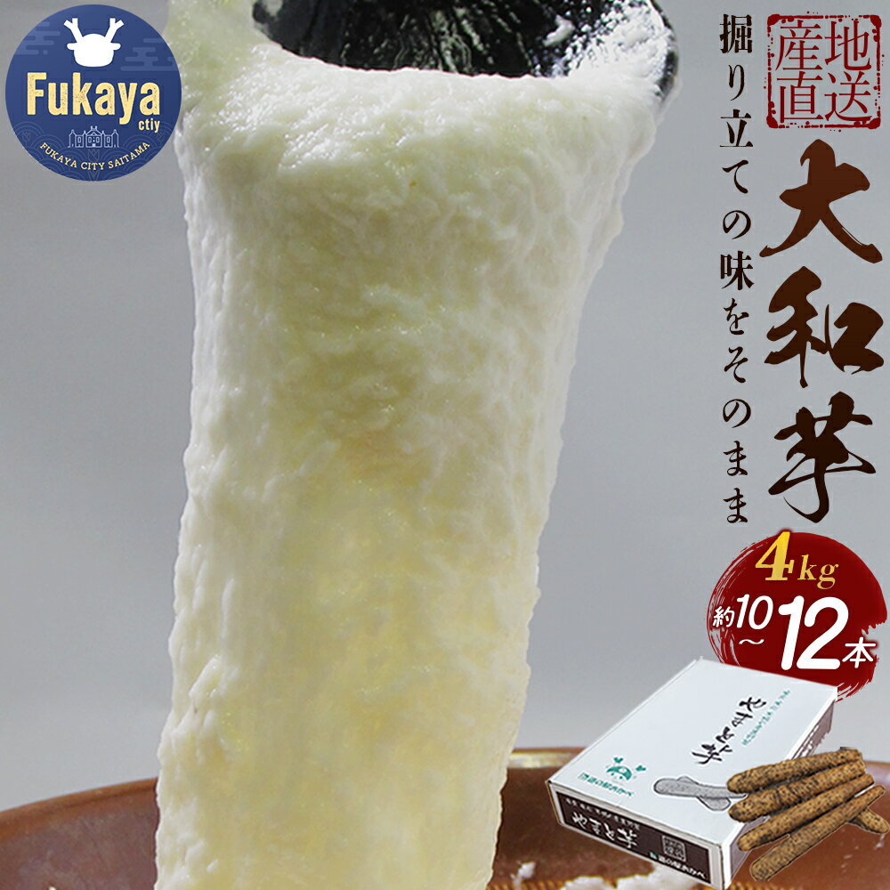 土付き大和芋AA品4kg（10～12本）　【11218-0138】