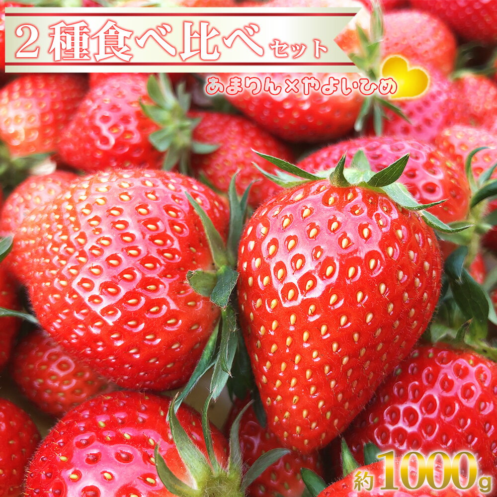 〈先行予約〉深谷市産苺　あまりん、やよいひめ食べ比べセット（4パック入り）※2パックずつ　【11218-0661】# いちご イチゴ 深谷 深谷市 朝採れ 完熟 甘い 糖度 詰合せ 詰め合わせ 埼玉県 深谷市 木口農園