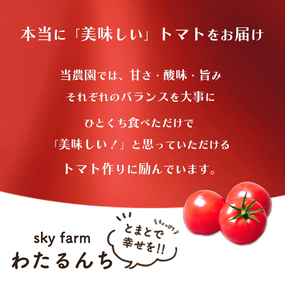 【ふるさと納税】トマト詰め合わせ3点セット　【11218-0714】 - 画像2