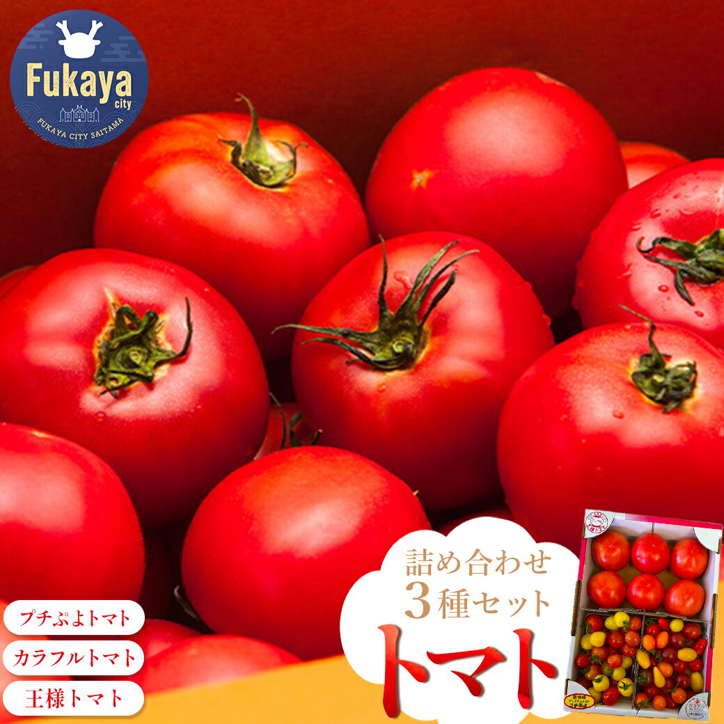 トマト詰め合わせ3点セット　【11218-0714】